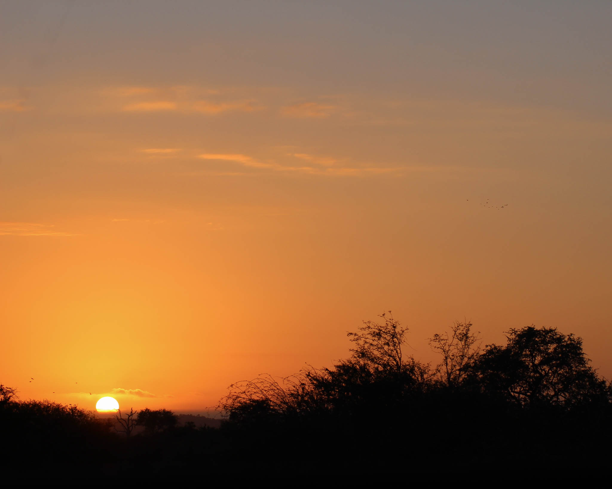 Heading out for a guided morning hike with some rangers we were able to get out of camp before the sun even rose.