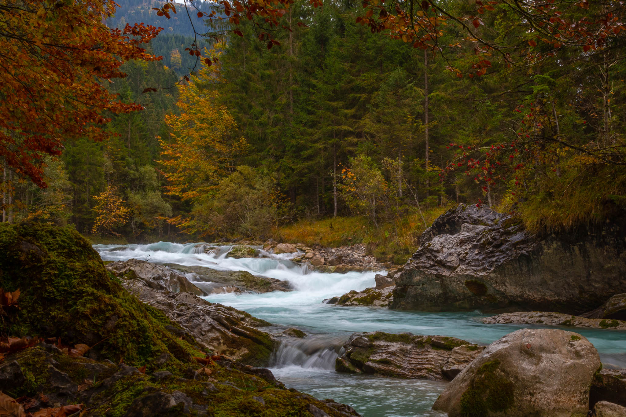 Each season has it's pleasures: Autumn with its gorgeous colours that are often enhanced by the lower sun.