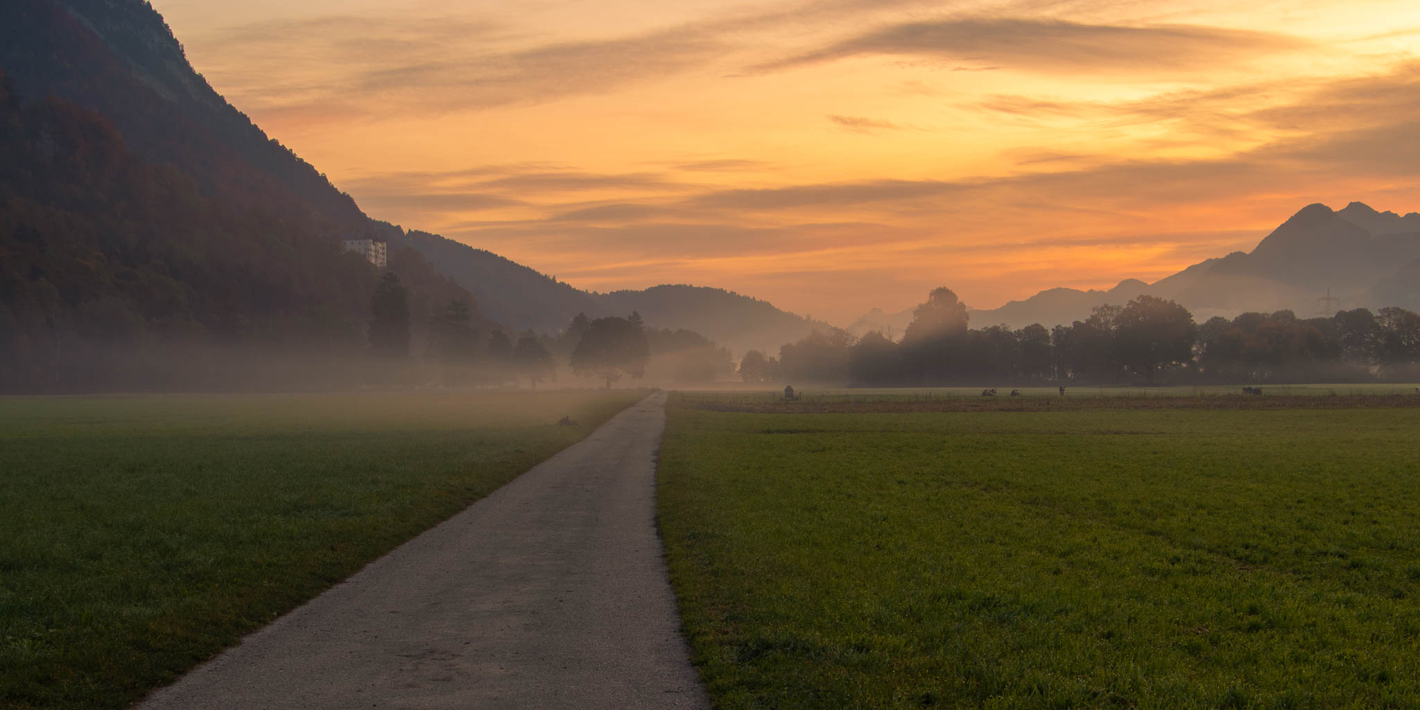 Misty Sunrise Just as the sun was rising, and the mist lifted from the meadows the mystical atmosphere